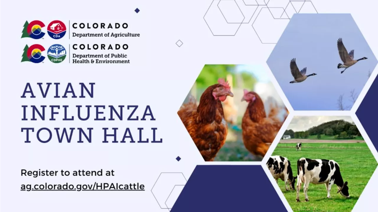 Colorado ag officials to hold bird flu update Wednesday