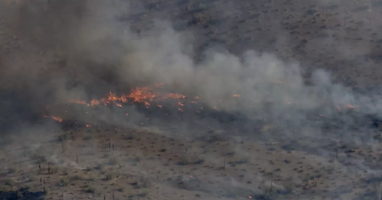 Flying Bucket Fire grows to 4,000 acres south of Goodyear