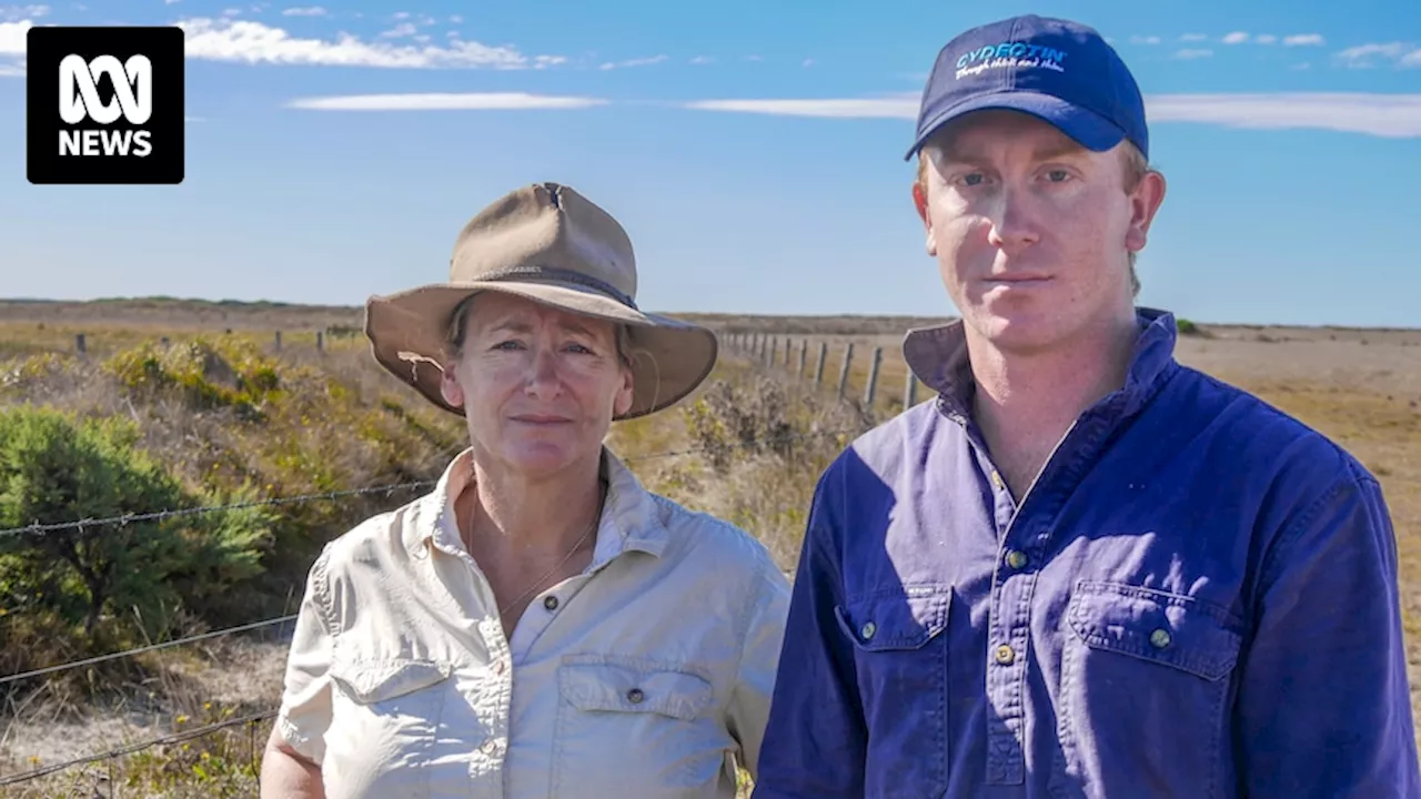 Groundwater plan review begins as Limestone Coast farmers fear for land's future