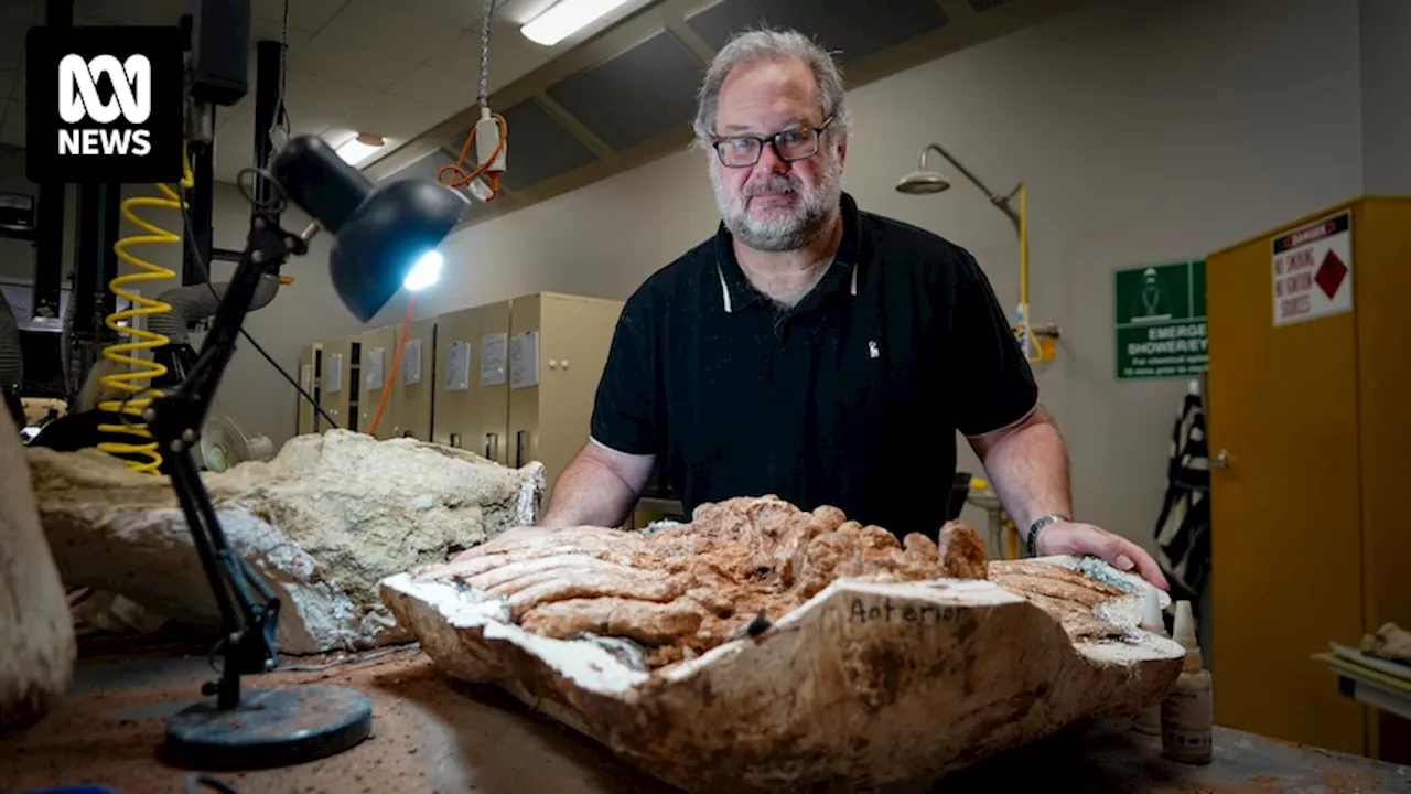 Scientists measure the sands of time to age Shirley the diprotodon fossil