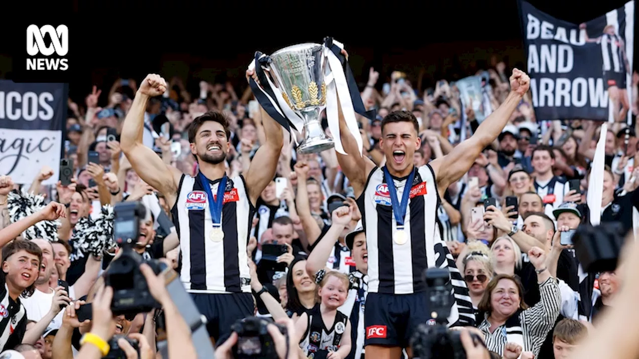 The AFL premiership cup is the sport's holy grail. But clubs have always been striving for less, and defunct prizes