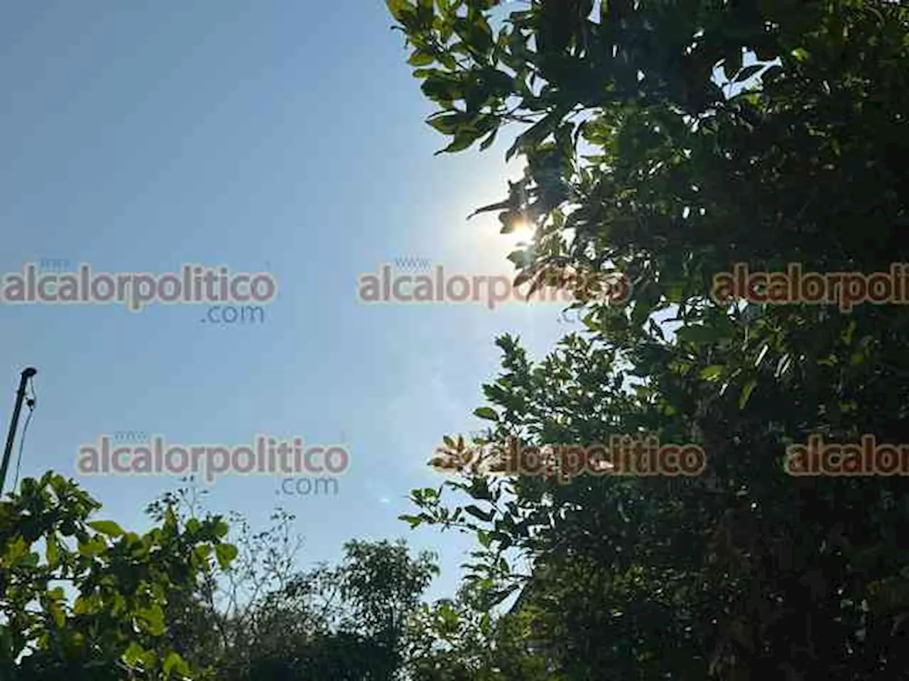 Xalapa y Orizaba alcanzan los 38.8º; Coatza, con sensación de más de 55°