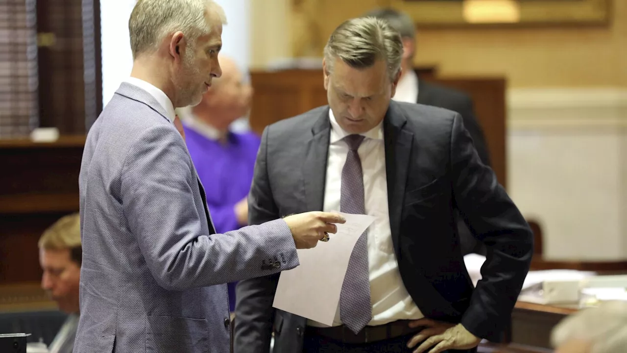 South Carolina Senate turns wide-ranging energy bill into resolution supporting more power