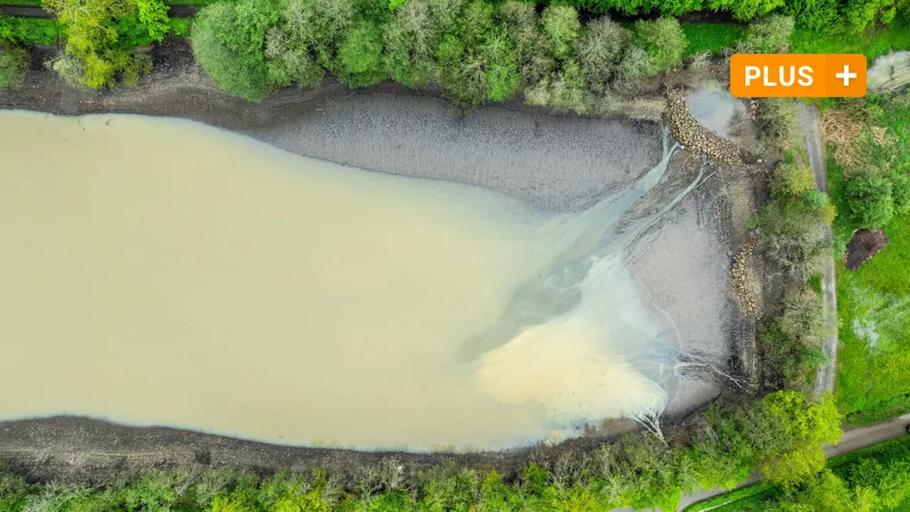 Endspurt am Ellertshäuser See: Ein leerer Tresor taucht aus den Tiefen des Gewässers auf