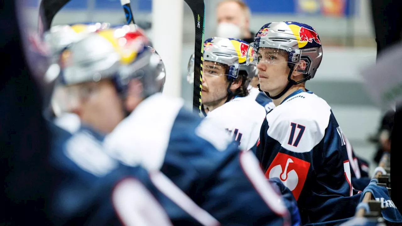 Nürnberg verpflichtet Eishockey-Profi Heigl aus München