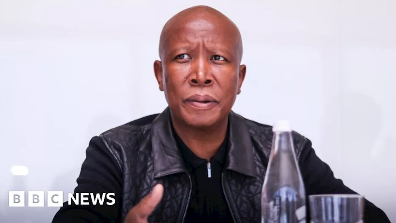 South Africa's radical agenda-setter leading the EFF into 2024 elections