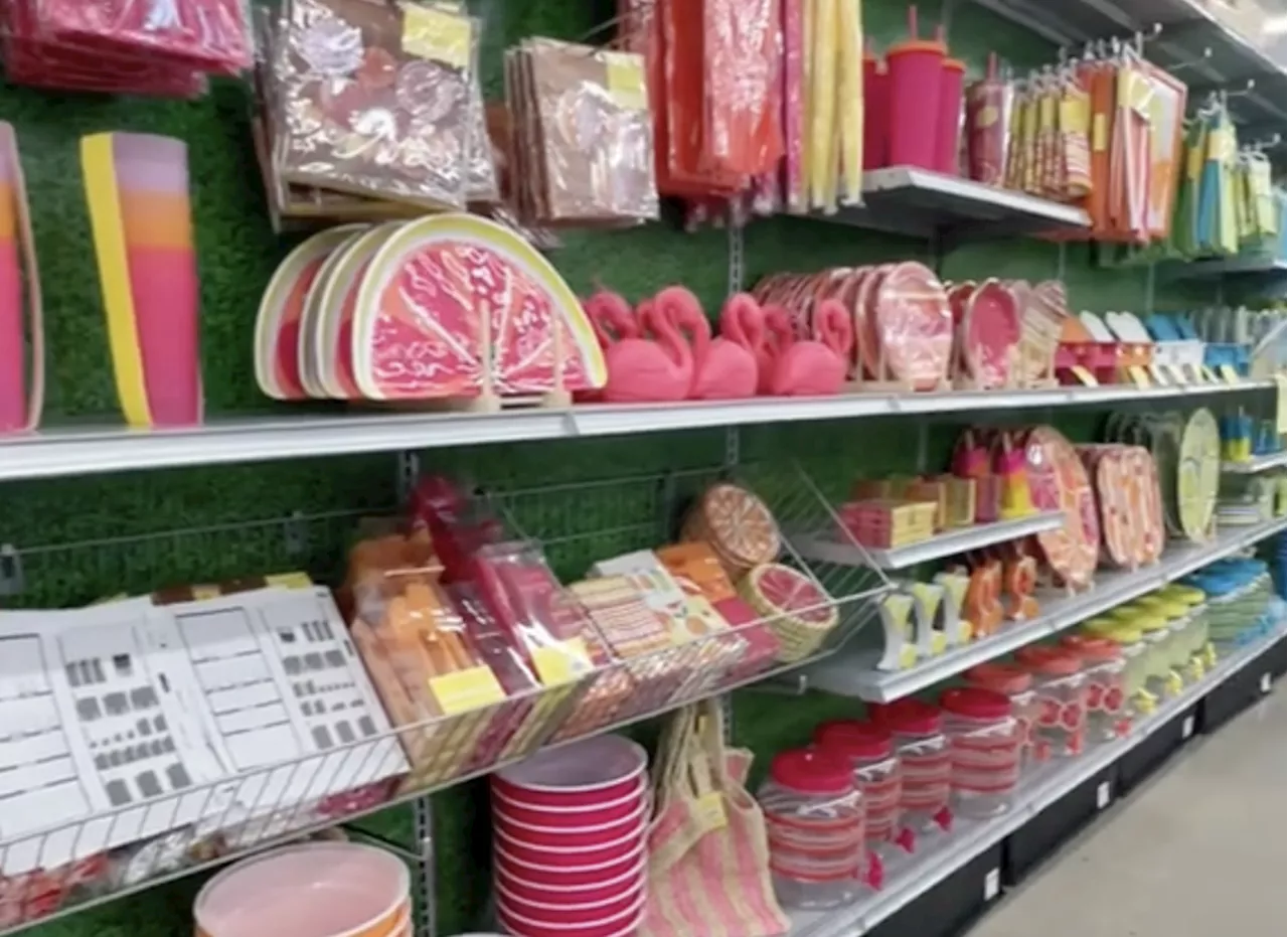 Shoppers Share 15 New Summer Items at Michaels: 'So Many Cute Finds'