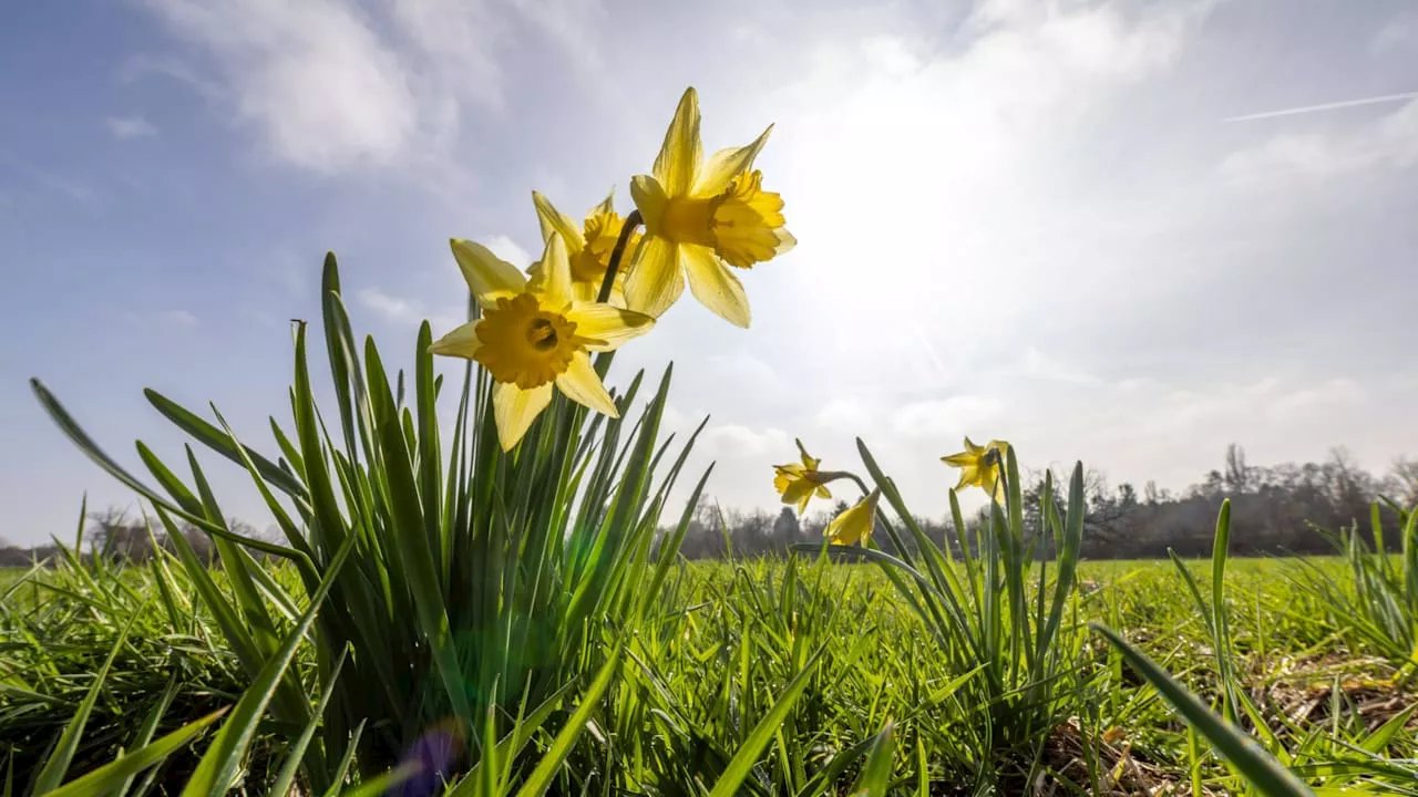 April ist elfter Monat in Folge: Rekord bei Rekord-Temperaturen