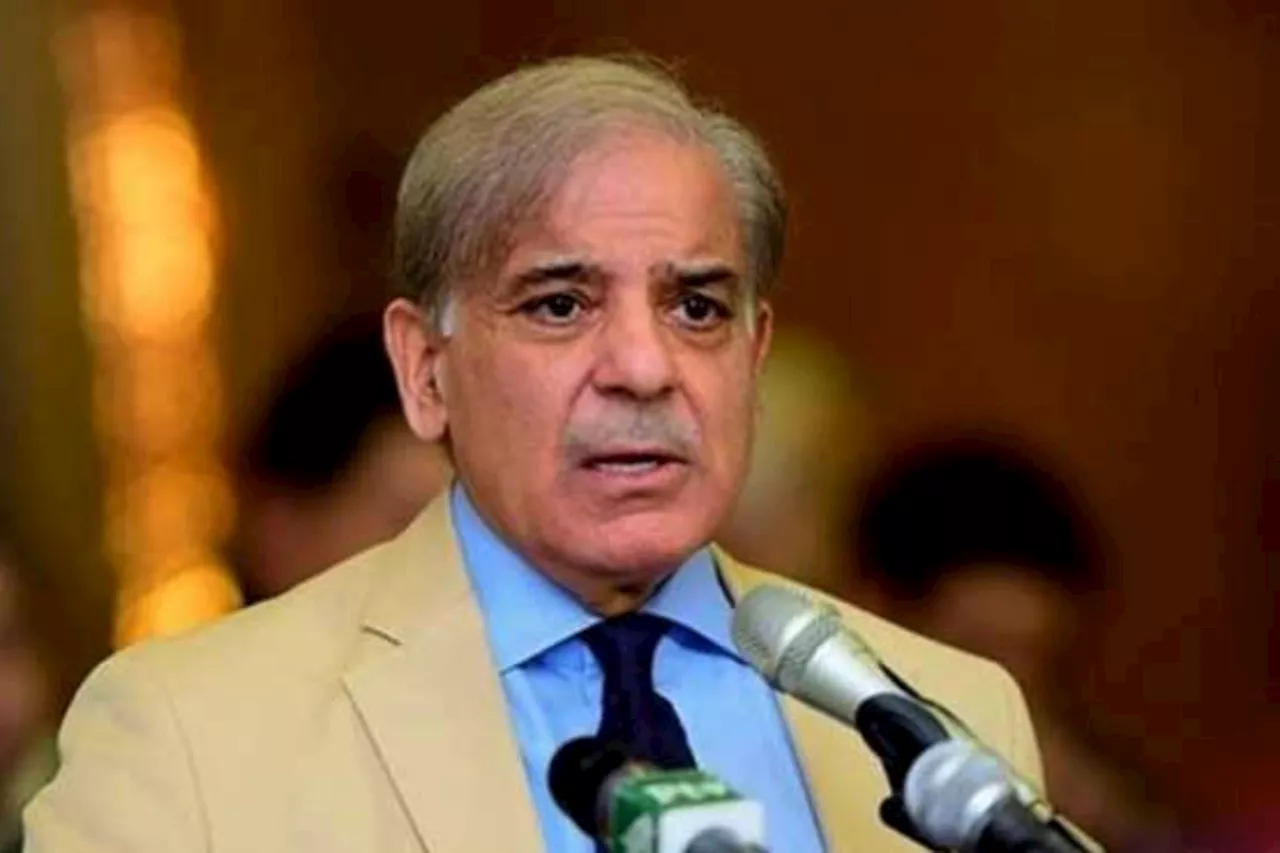 PM Shehbaz directs establishment of Pakistan Skill Company