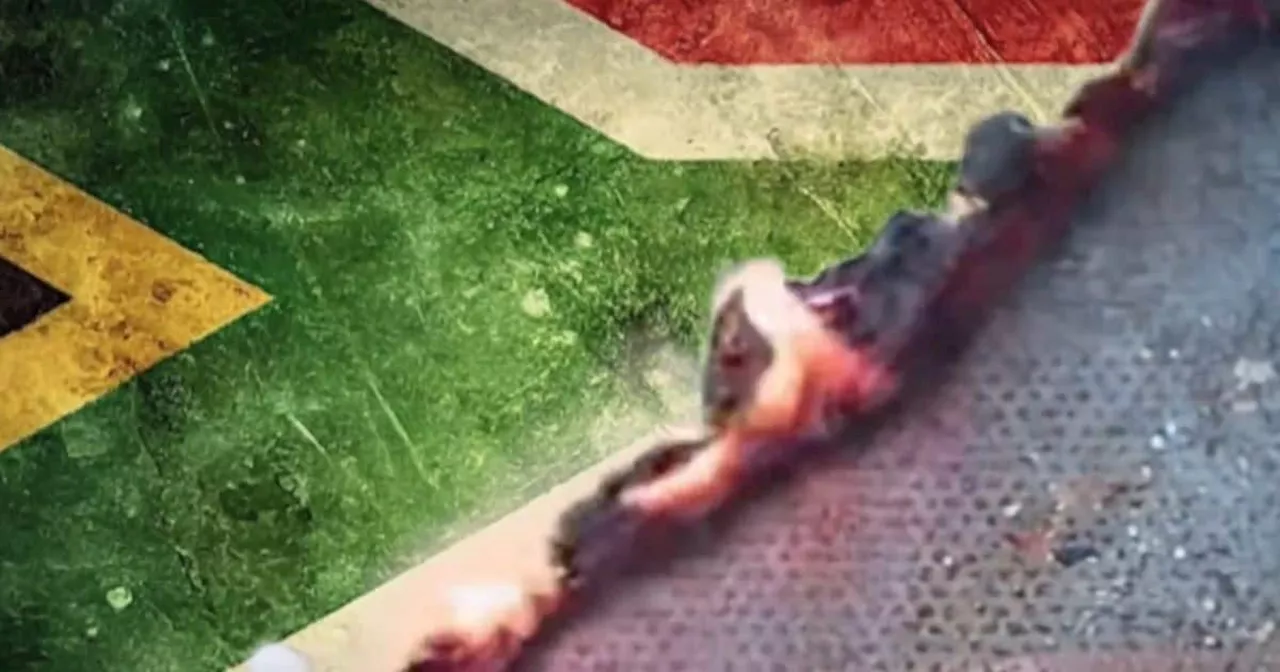 Zizi Kodwa Threatens Legal Action Against DA Over Flag Burning Political Ad