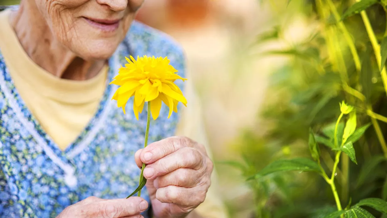 Psychologie: 20 Weisheiten von 100-Jährigen, die dein Leben bereichern