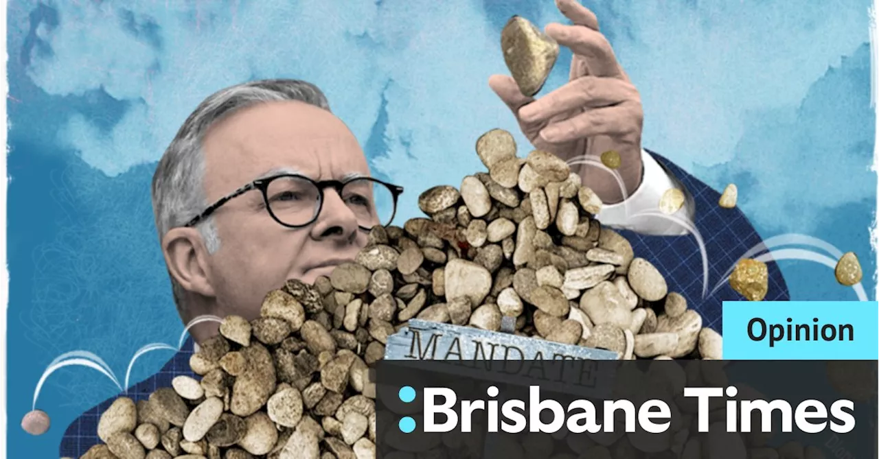 Albanese’s is an ‘experimental’ government – and it looks like the experiment is failing