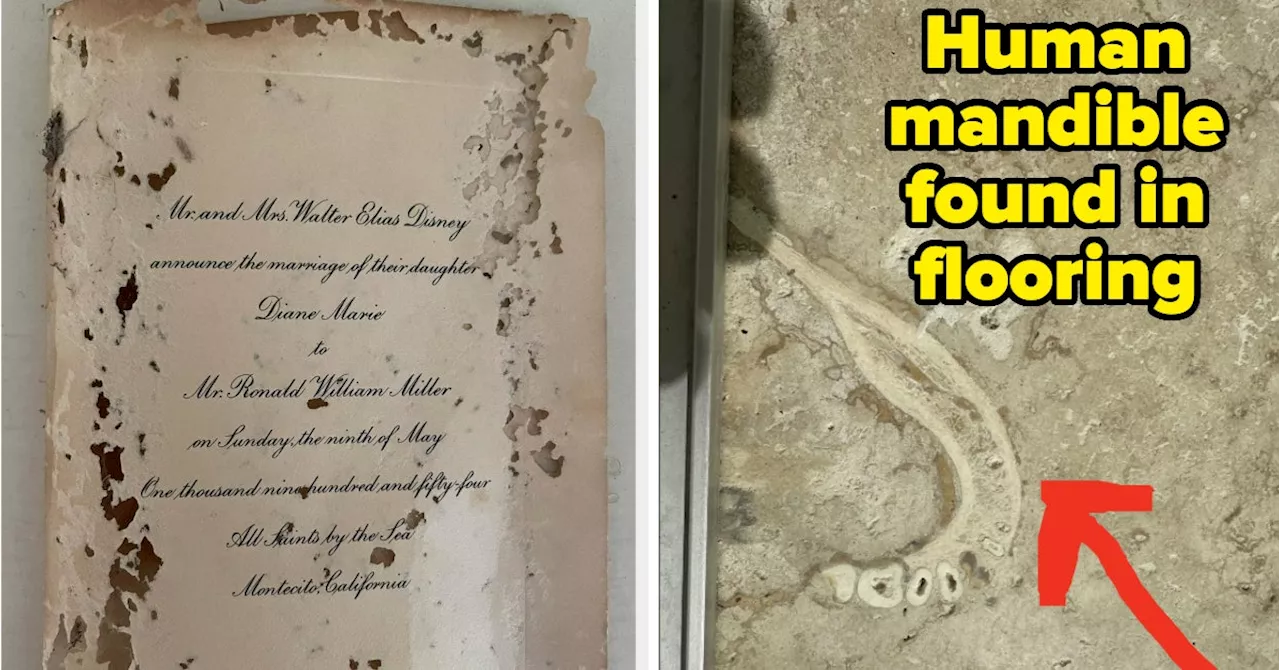 Photos Of The Strange Things People Found In Their Houses