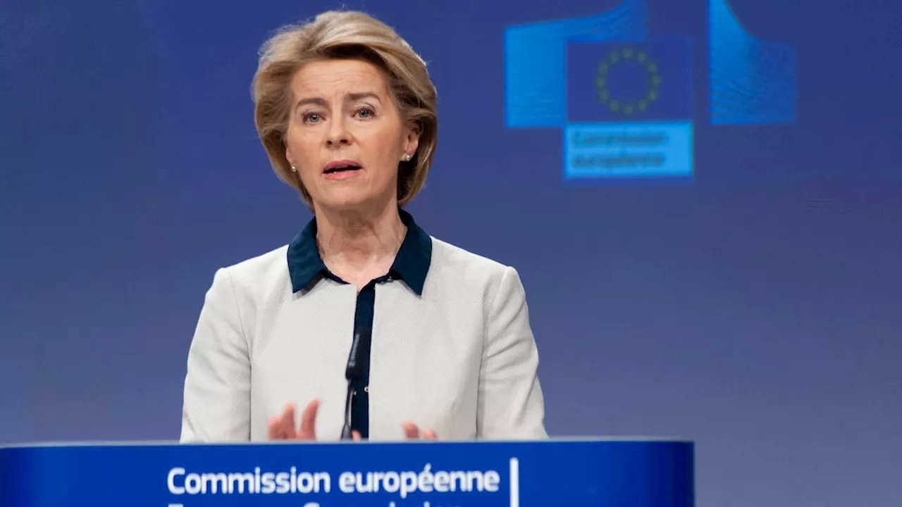 Von der Leyen: EU muss sich gegen E-Auto-Schwemme aus China wehren