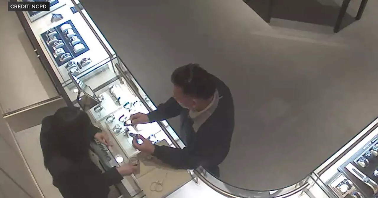 Video shows accused international jewelry thief swiping $17,000 watch from Long Island store, police say