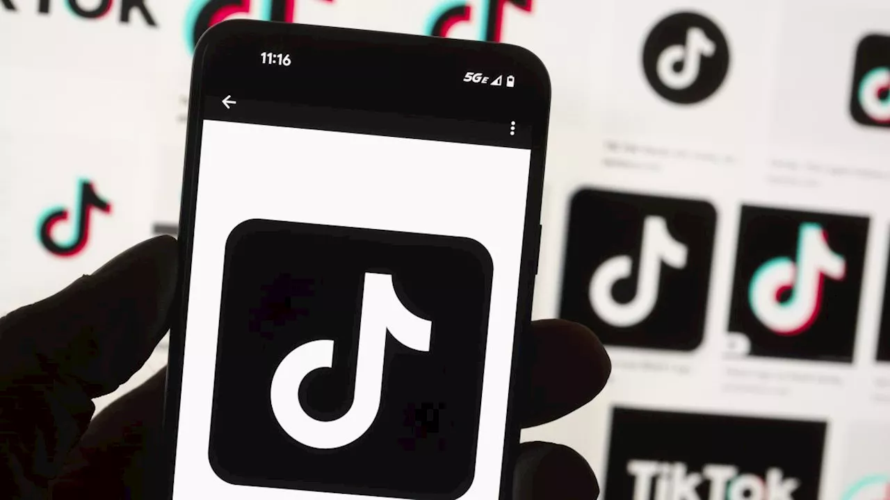 TikTok fa causa agli Stati Uniti: «Obbligo alla vendita è forzato e incostituzionale»