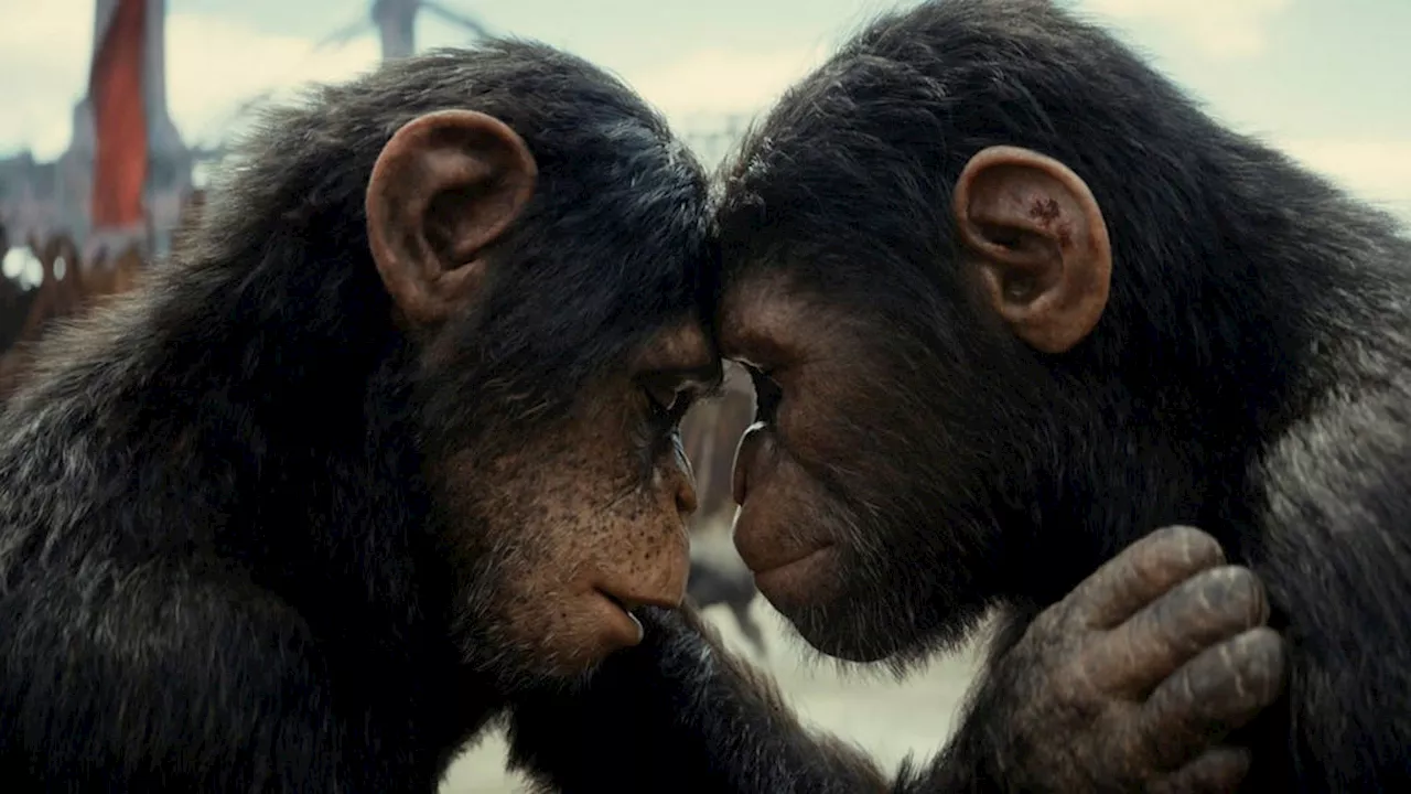 Recension: ”Kingdom of the planet of the apes”