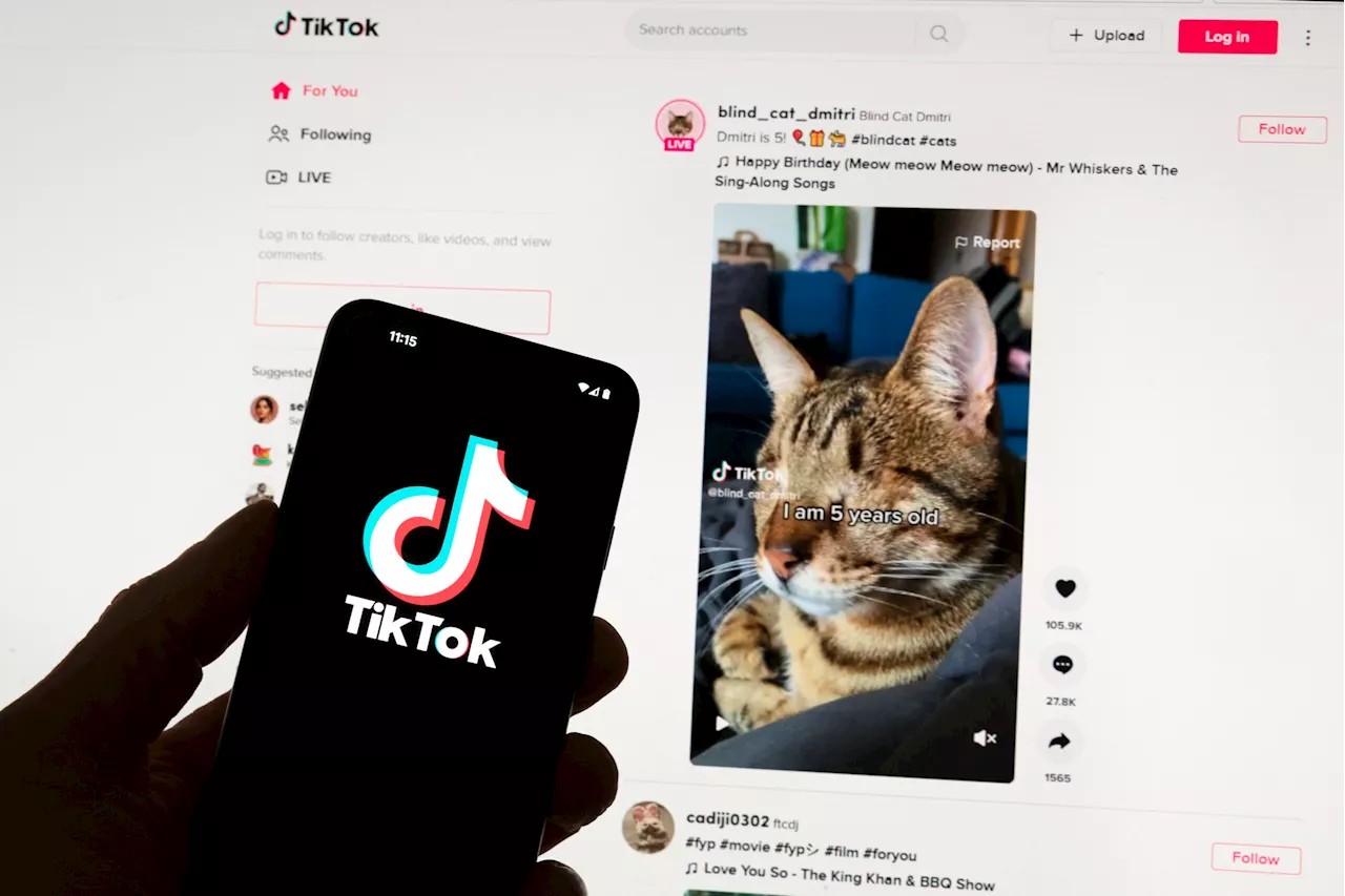 Trump super PAC debuts TikTok account