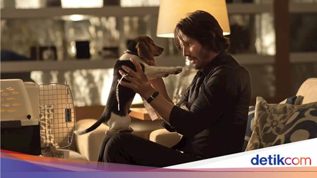 Nih Adegan Paling Penting di John Wick