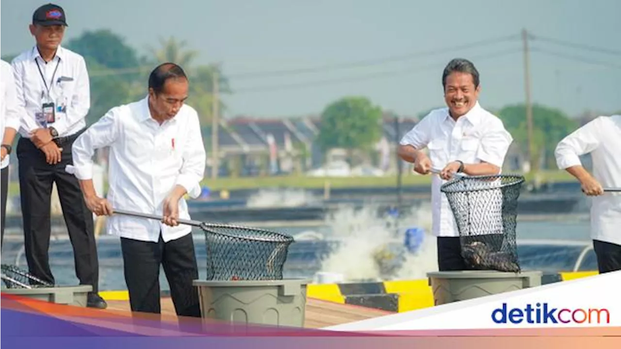 Tambak Ikan Nila Salin Siap Jadi Lokomotif Industrialisasi di RI