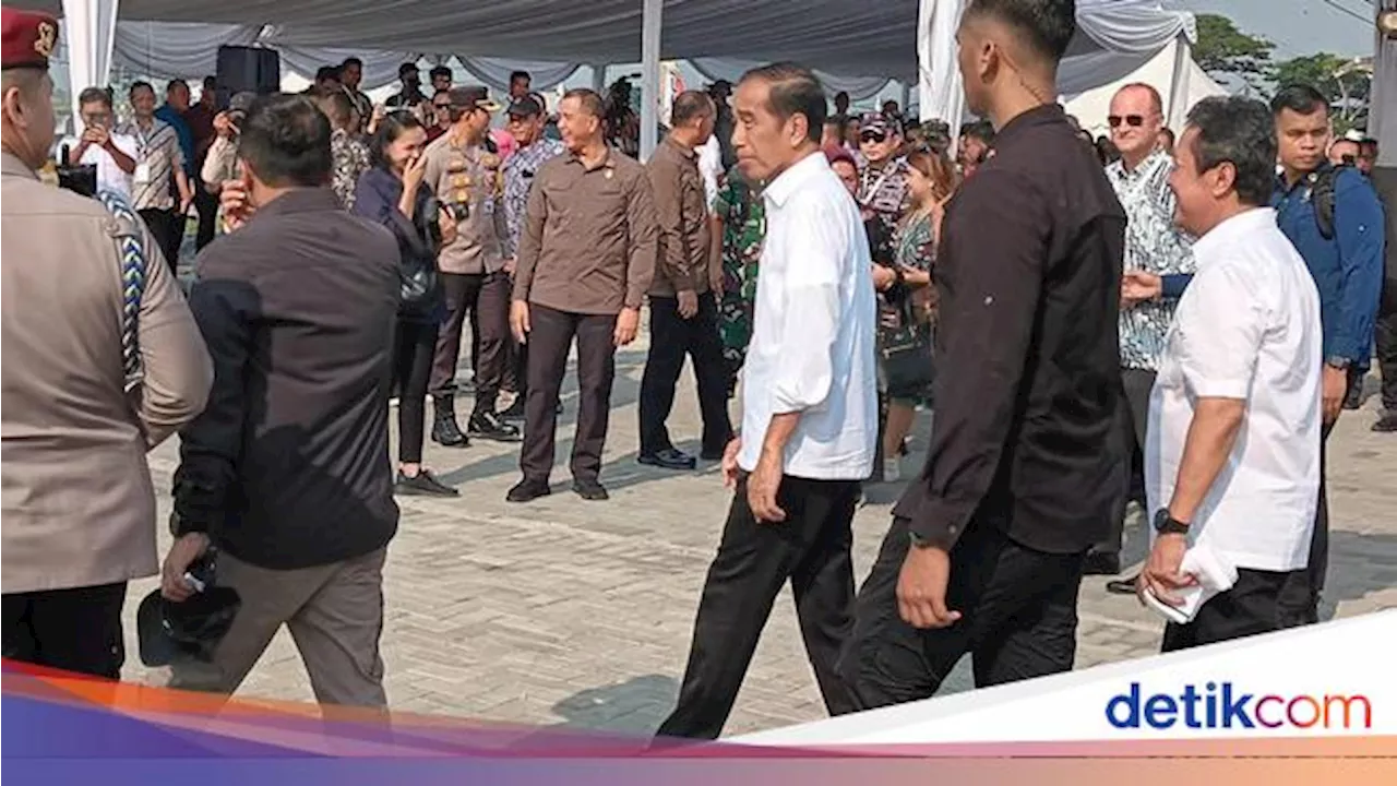 Telan Biaya Rp 76 Miliar, Jokowi Resmikan Tambak Ikan Nila Salin di Karawang