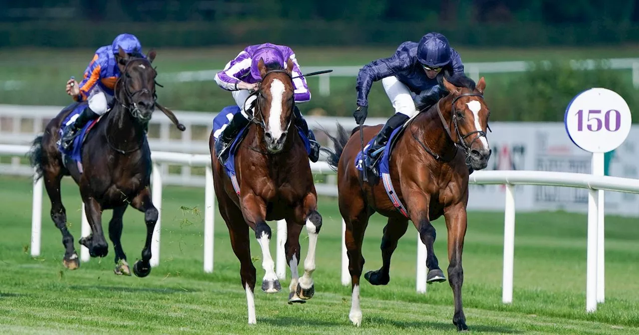 Chester May Festival 2024 day two: Capulet can win the Dee Stakes