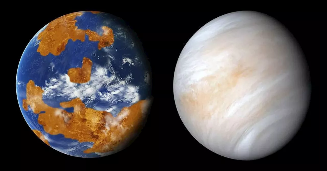 Así pudo perder Venus, el gemelo de la Tierra, su agua: esto dice una reciente investigación