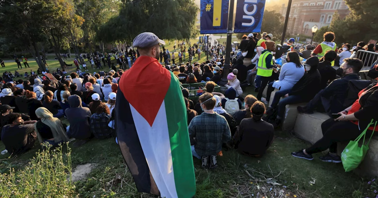 ¿Qué quieren los universitarios que protestan en apoyo a Palestina?