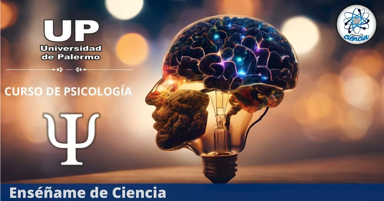 Aprende psicología con este curso especializado GRATUITO de la Universidad de Palermo