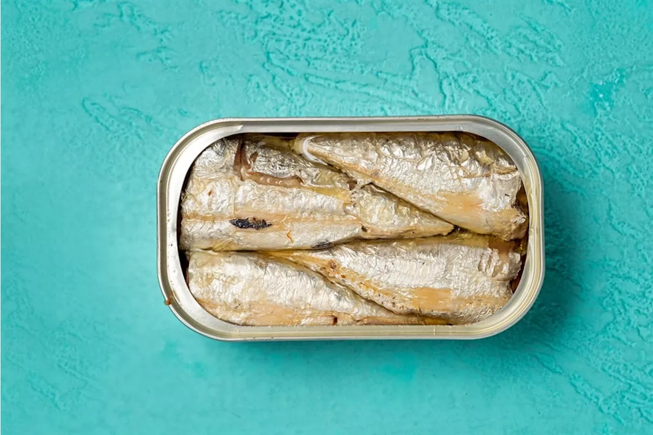 Why tinned fish has taken SA by storm