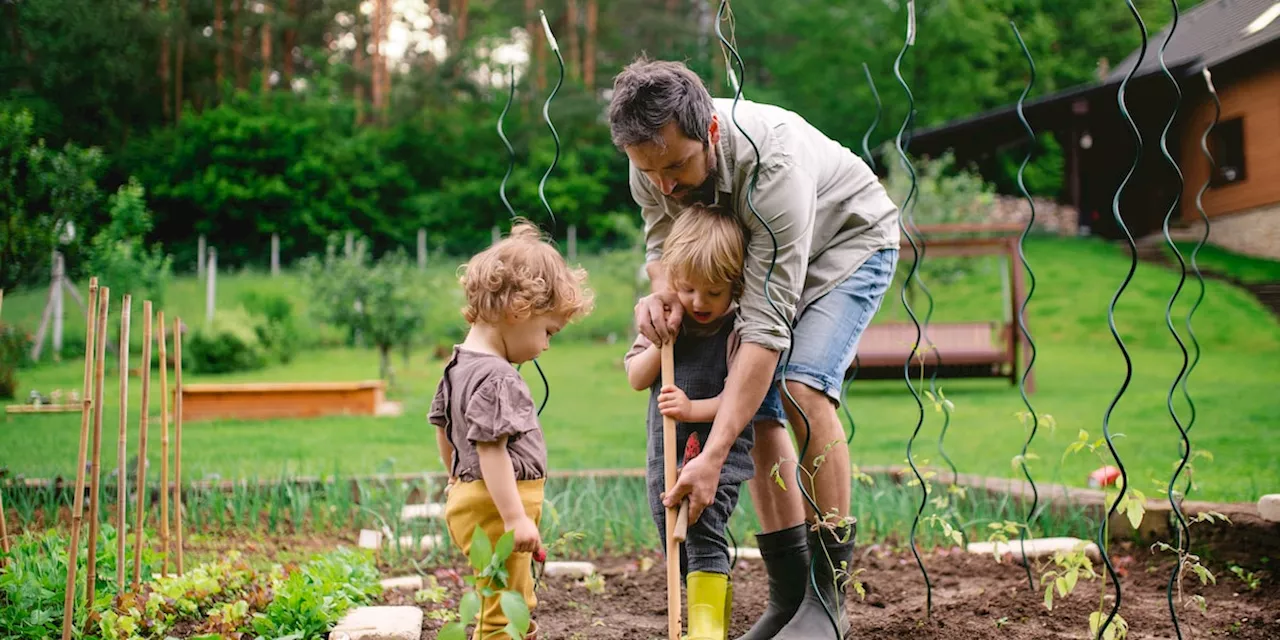 Viele haben sie im Garten: Neun beliebte Pflanzen sind giftig für Ihre Kinder