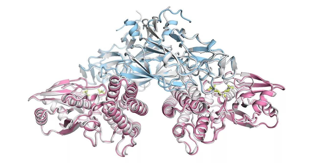 InnovationRx: Deepmind Unveils Its New Protein-Folding AI Model AlphaFold 3