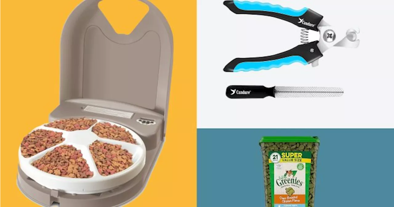 18 amazing deals on pet stuff, just in time for Pet Month