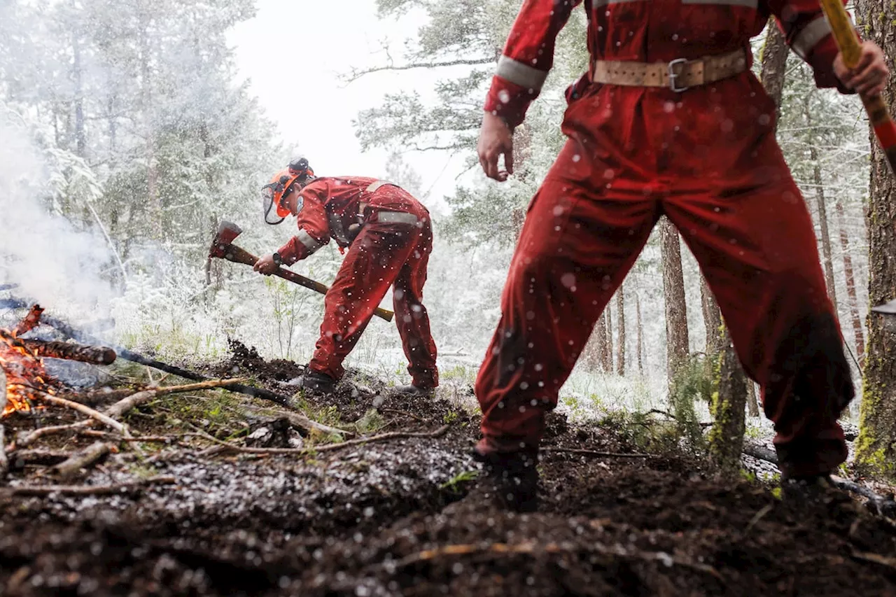 New recruits to BC Wildfire Service hone their skills for a hard season