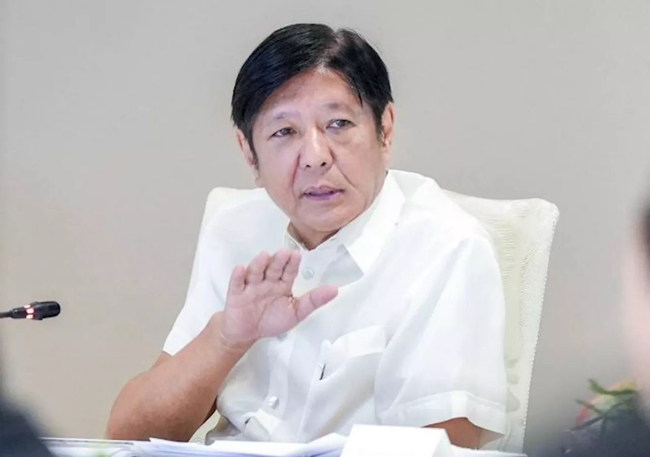 DOJ to give Marcos 'briefer' on legal options for possible ICC warrants