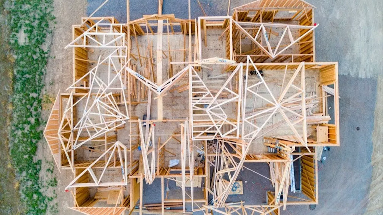 Using Scanned Mesh Data for Auto-Digitized 3D Modeling: Methodology