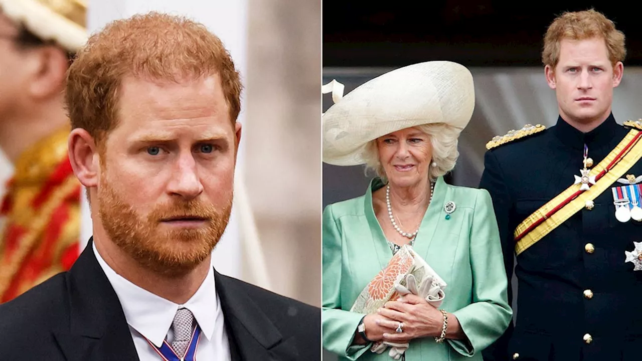 Inside Prince Harry and Queen Camilla's complicated relationship through the years