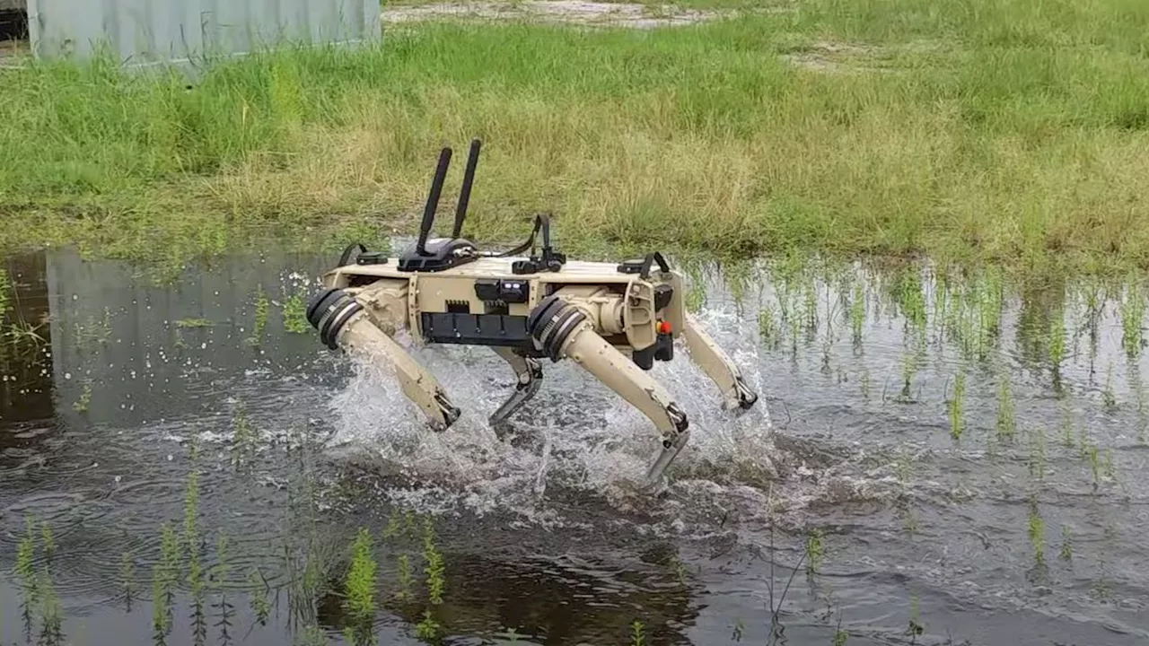 US Marine Forces test autonomous rifle-fitted robot dogs, reports say