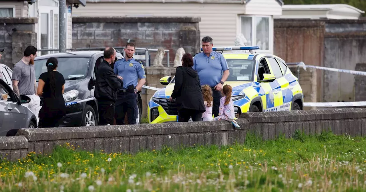 18-month-old boy killed in Clare road traffic tragedy named as tributes pour in