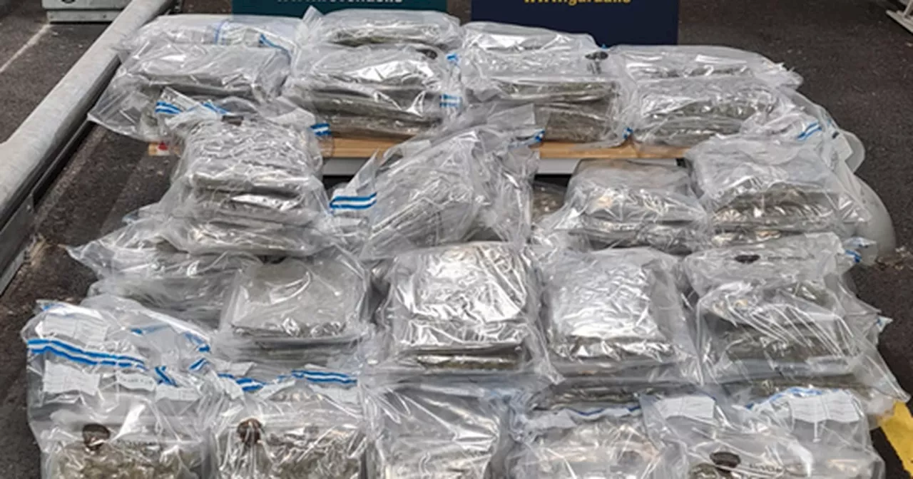 Cannabis: Almost €3.7 million worth of drug seized by gardaí in Wexford and Dublin