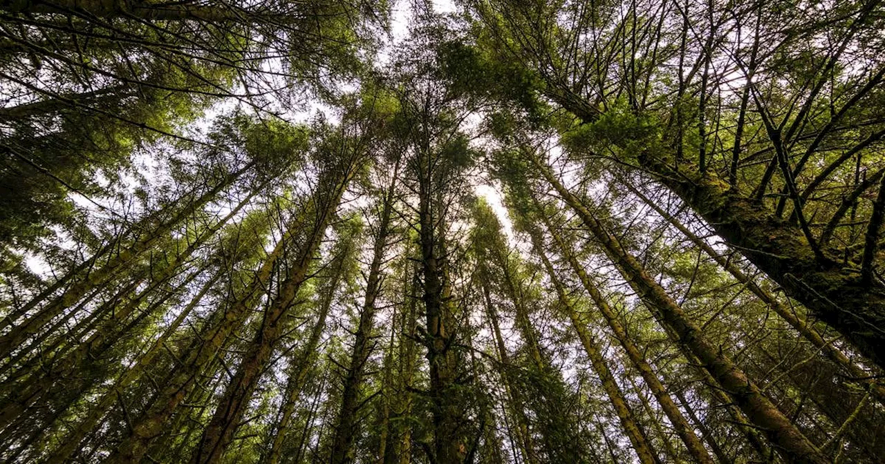 May is a festive month and a highlight is National Biodiversity Week