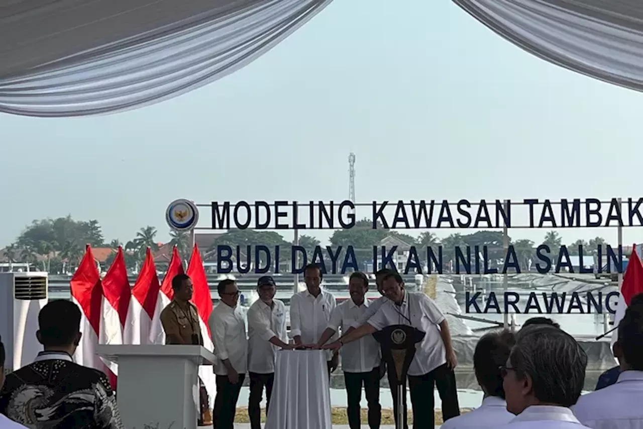 Presiden Jokowi Resmikan Modeling Tambak Budi Daya Ikan Nila Salin di Karawang, Bidik Pasar Dunia Capai USD 14,4 Miliar