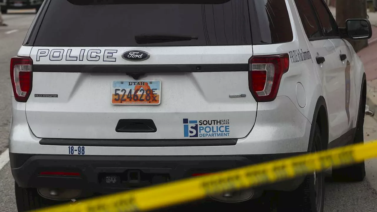 South Salt Lake robbery and assault lead to shot fired in the street, police say