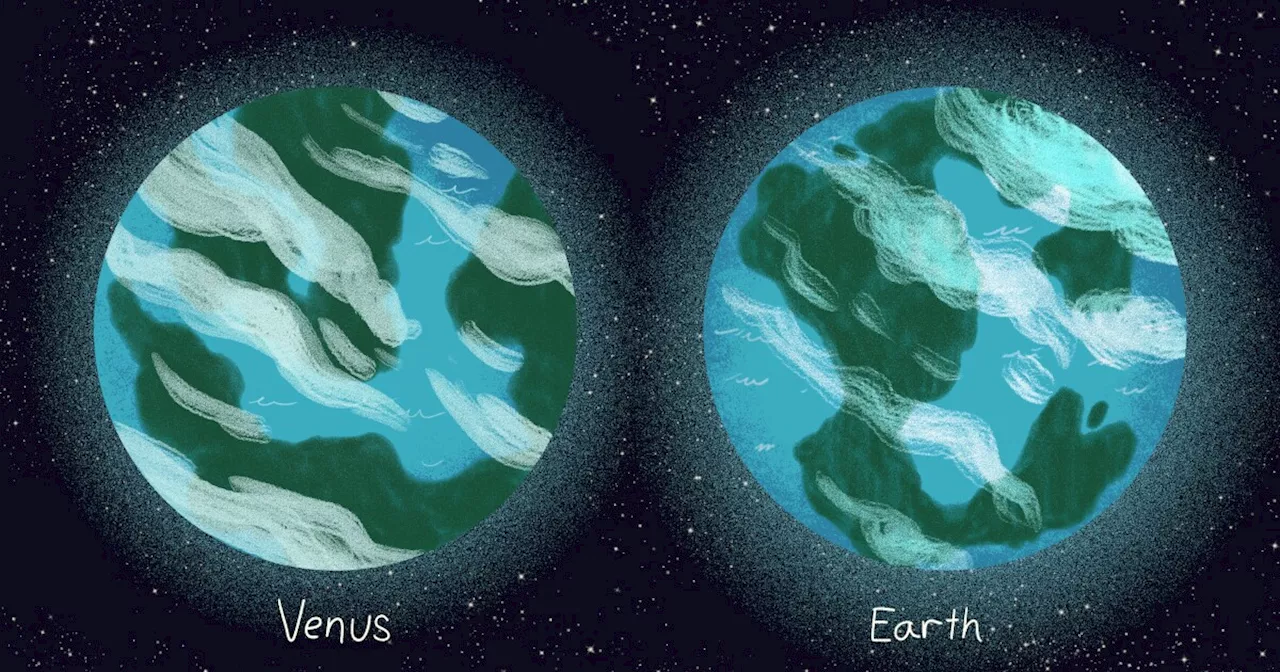 Earth And Venus