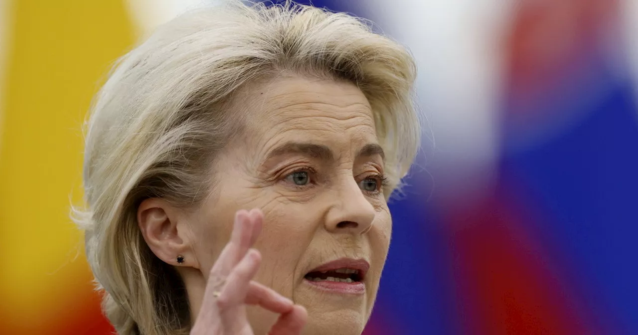 Ursula von der Leyen contro Afd: &#034;Traditori della patria, pugnalatori alle spalle&#034;