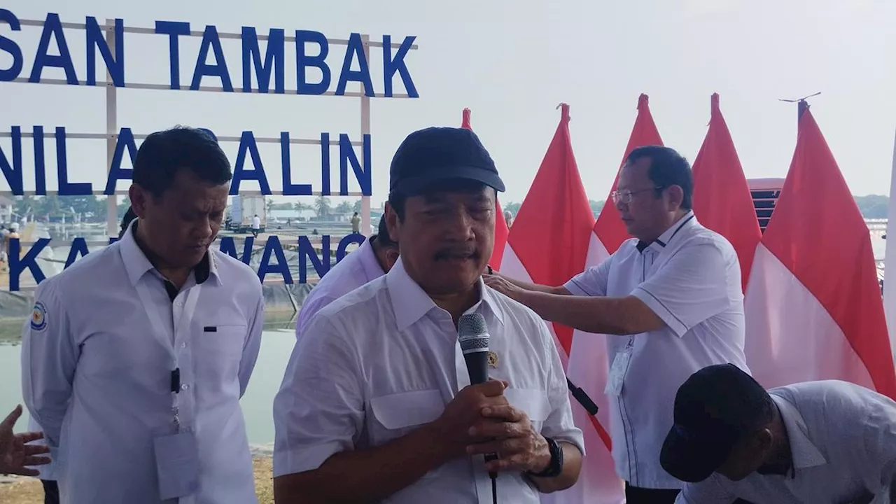 Indonesia Mampu Produksi 4 Juta Ton Ikan Nila Salin Sekali Panen