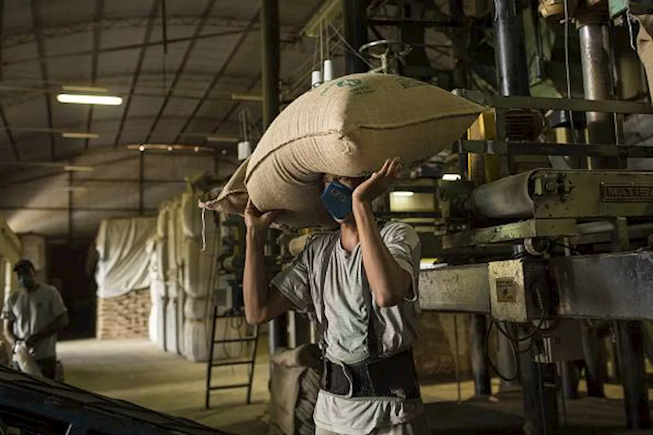 Poor weather disrupts global coffee supplies