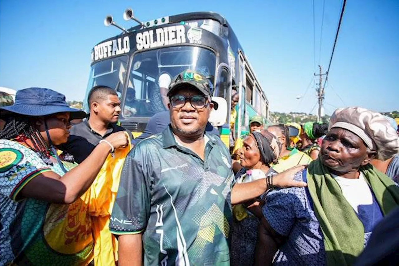 Promises of jobs, grants as Fikile Mbalula hits KZN campaign trail