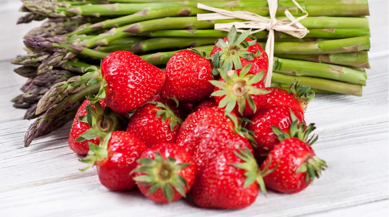 Sagre gastronomiche: dove andare per un week end di gusto