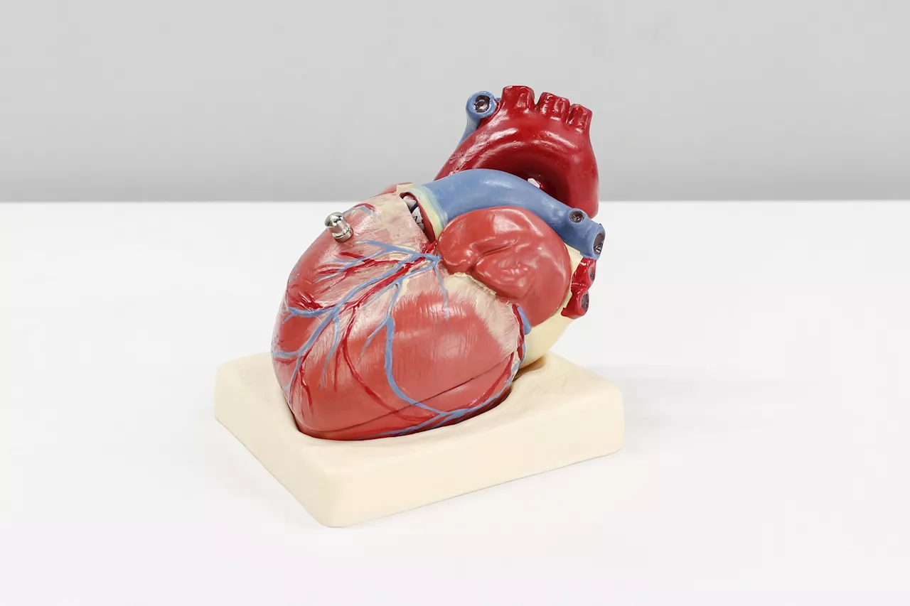 Discovery of key target for precision pharmacology makes ideal candidate to treat heart failure